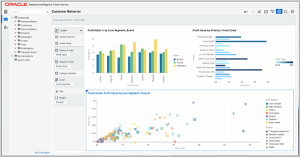 Business Intelligence w chmurze - Oracle Business Intelligence Cloud Services